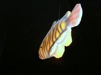 photos 2000-200902408